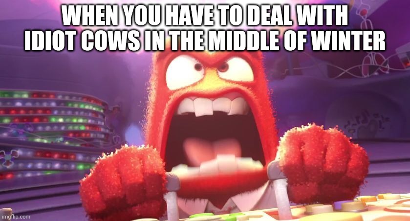 if you have ever dealt with cows in winter you know | WHEN YOU HAVE TO DEAL WITH IDIOT COWS IN THE MIDDLE OF WINTER | image tagged in inside out anger,farming,cows,i hate cows | made w/ Imgflip meme maker