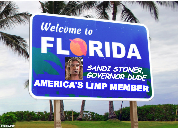 Sandi Stoner is Ron Desantis spelled sideways. | SANDI STONER,
GOVERNOR DUDE | image tagged in memes,welcome to florida | made w/ Imgflip meme maker