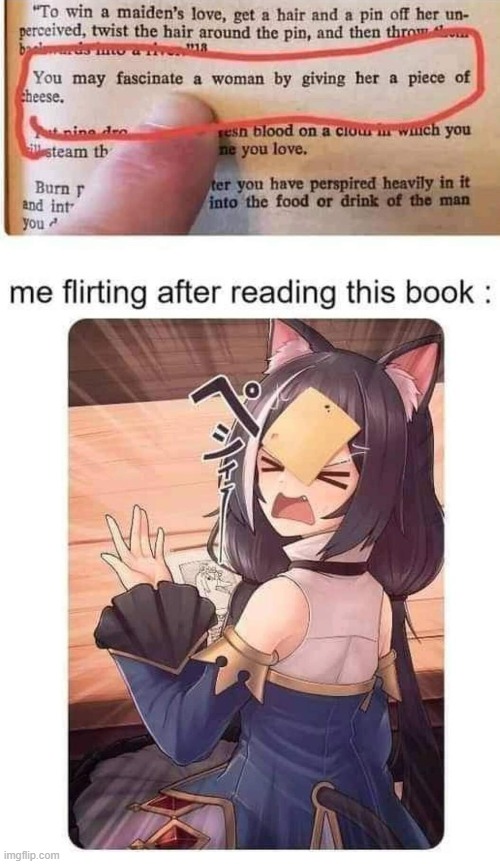 REAL CAT GIRLS CAN BE VERY DISAPPOINTING - Funny Anime Memes 