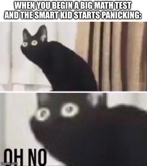 Wait… IM ASIAN | WHEN YOU BEGIN A BIG MATH TEST AND THE SMART KID STARTS PANICKING: | image tagged in oh no cat | made w/ Imgflip meme maker