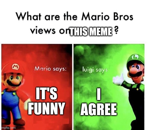 Mario Bros Views | IT'S FUNNY I AGREE THIS MEME | image tagged in mario bros views | made w/ Imgflip meme maker