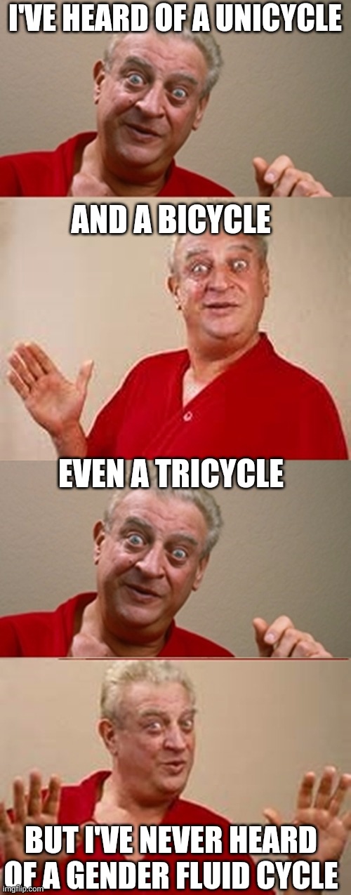 Bad Pun Rodney Dangerfield | I'VE HEARD OF A UNICYCLE AND A BICYCLE EVEN A TRICYCLE BUT I'VE NEVER HEARD OF A GENDER FLUID CYCLE | image tagged in bad pun rodney dangerfield | made w/ Imgflip meme maker