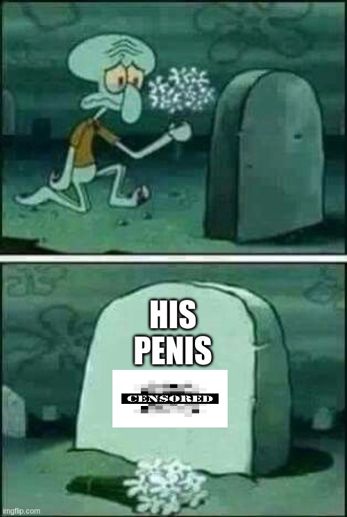 grave spongebob | HIS PENIS | image tagged in grave spongebob | made w/ Imgflip meme maker