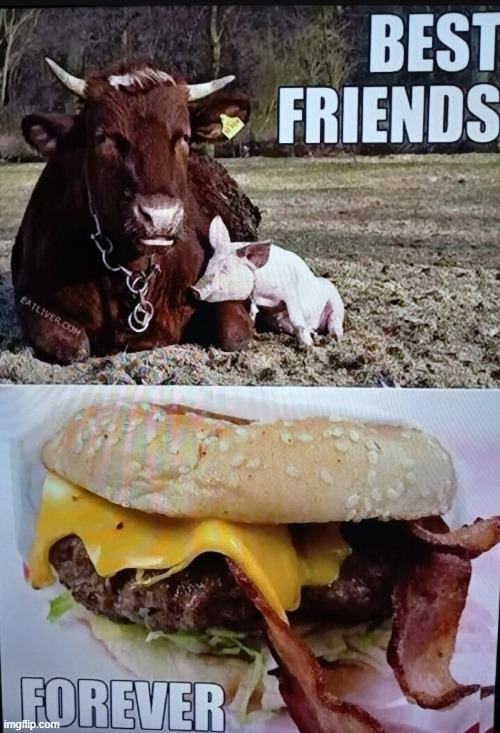 image tagged in dark humor | made w/ Imgflip meme maker