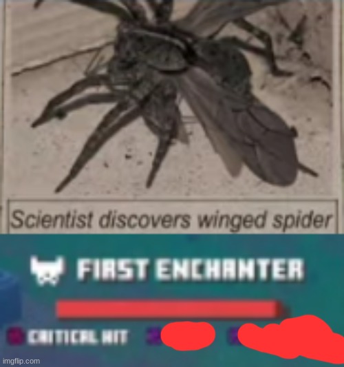 you cant hide now. | image tagged in meme,lol,funny,spiders | made w/ Imgflip meme maker