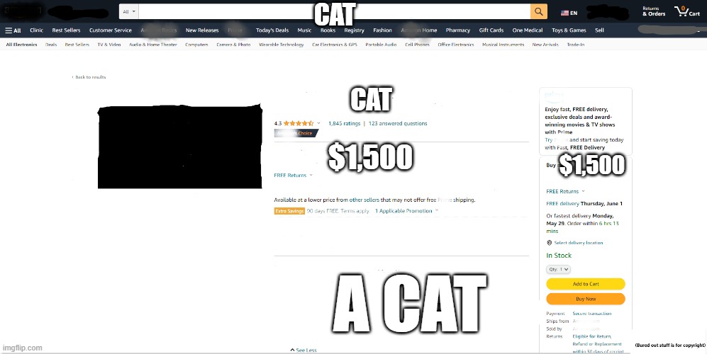 Amzoom meme | CAT; CAT; $1,500; $1,500; A CAT | image tagged in amazoom meme | made w/ Imgflip meme maker