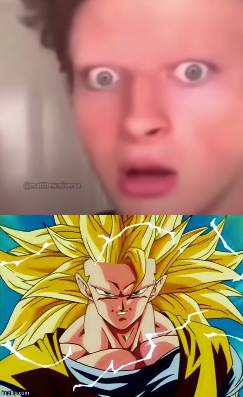 Dragon soul | image tagged in super saiyan 3 goku,shitpost,msmg,oh wow are you actually reading these tags | made w/ Imgflip meme maker
