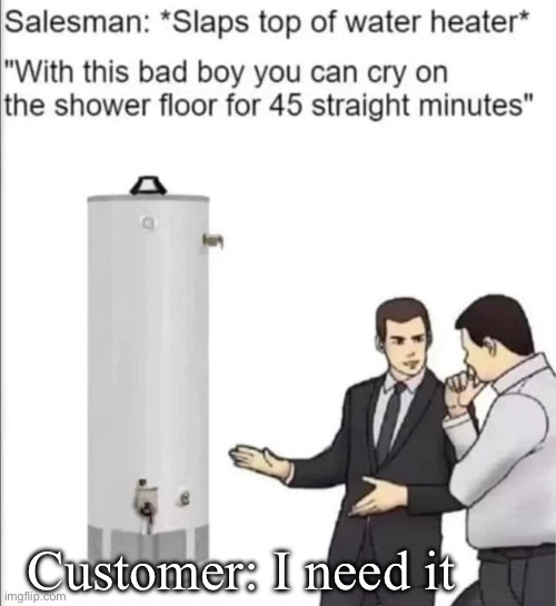 I need it | Customer: I need it | image tagged in salesman,car salesman slaps roof of car,hot water,shower,crying | made w/ Imgflip meme maker