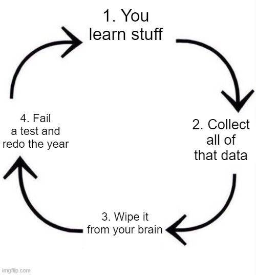 This is how School goes | 1. You learn stuff; 4. Fail a test and redo the year; 2. Collect all of that data; 3. Wipe it from your brain | image tagged in the circle of life | made w/ Imgflip meme maker