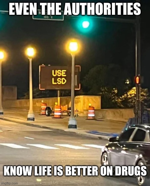Don’t do drugs and drive | EVEN THE AUTHORITIES; KNOW LIFE IS BETTER ON DRUGS | image tagged in drugs,drive,lsd | made w/ Imgflip meme maker