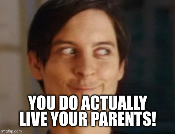 Spiderman Peter Parker Meme | YOU DO ACTUALLY LIVE YOUR PARENTS! | image tagged in memes,spiderman peter parker | made w/ Imgflip meme maker