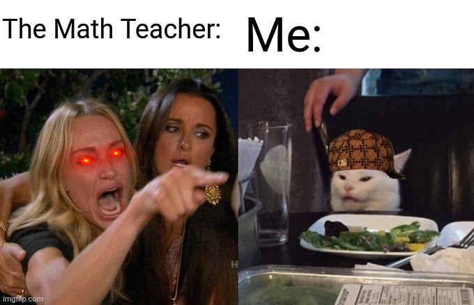 Woman Yelling At Cat Meme | The Math Teacher:; Me: | image tagged in memes,woman yelling at cat | made w/ Imgflip meme maker