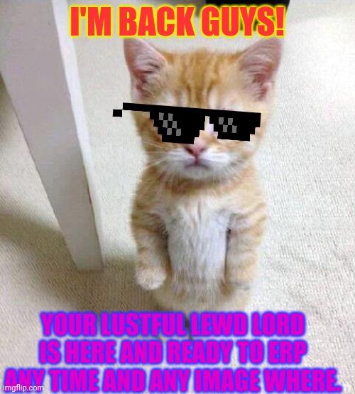 Ayeeeeee! | I'M BACK GUYS! YOUR LUSTFUL LEWD LORD IS HERE AND READY TO ERP ANY TIME AND ANY IMAGE WHERE. | image tagged in memes,cute cat | made w/ Imgflip meme maker