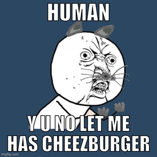 It's been 11 years... | HUMAN; Y U NO LET ME HAS CHEEZBURGER | image tagged in memes,y u no,i can has cheezburger cat | made w/ Imgflip meme maker