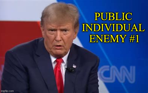 Public Enemy Indvidual Number One | PUBLIC 
INDIVIDUAL 
ENEMY #1 | image tagged in donald trump,public enemy number one,indivudual one,maga,criminal | made w/ Imgflip meme maker