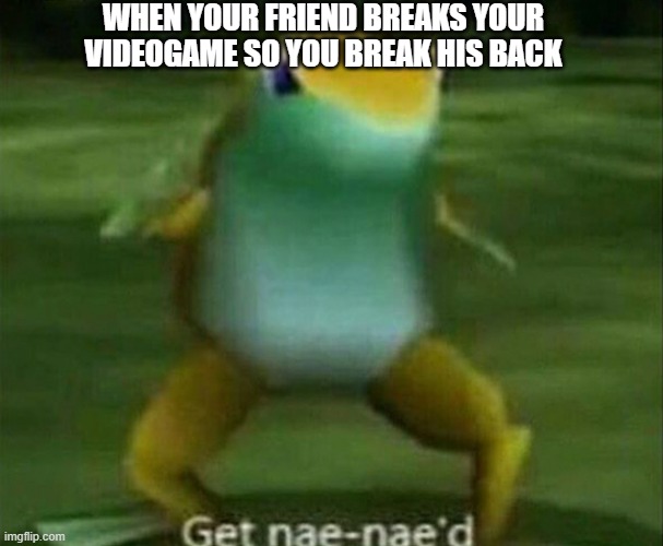 Get nae-nae'd | WHEN YOUR FRIEND BREAKS YOUR VIDEOGAME SO YOU BREAK HIS BACK | image tagged in get nae-nae'd,funny memes,fun | made w/ Imgflip meme maker