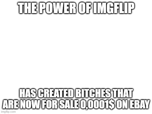 Blank White Template | THE POWER OF IMGFLIP; HAS CREATED BITCHES THAT ARE NOW FOR SALE 0,0001$ ON EBAY | image tagged in blank white template | made w/ Imgflip meme maker