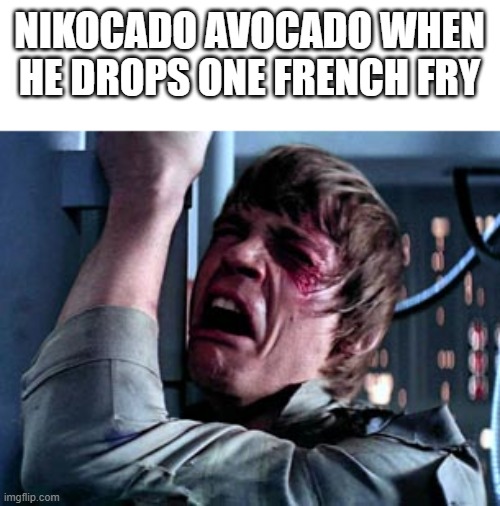 Luke Skywalker Noooo | NIKOCADO AVOCADO WHEN HE DROPS ONE FRENCH FRY | image tagged in luke skywalker noooo,nikocado avocado,greed,fat | made w/ Imgflip meme maker