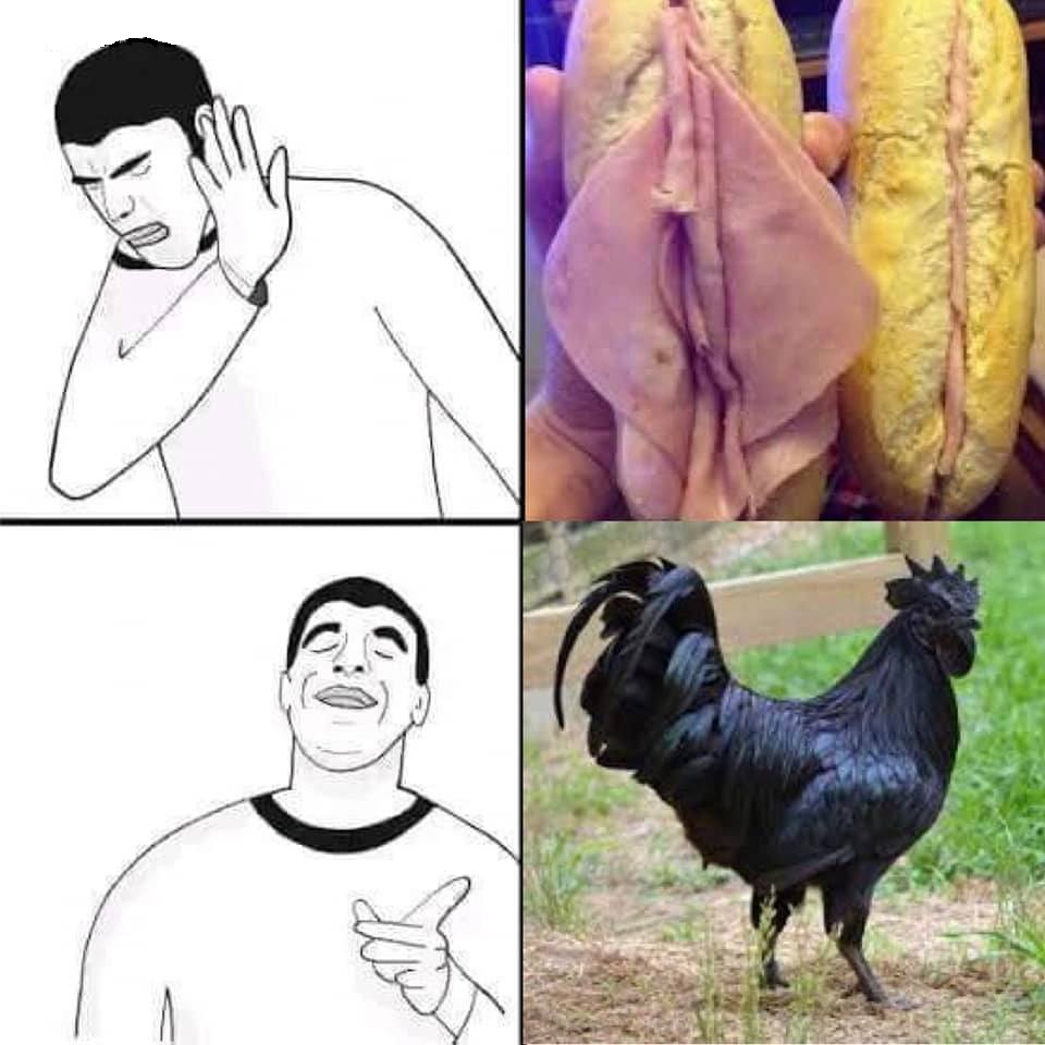 Drake pussy cock Meme Generator - Imgflip