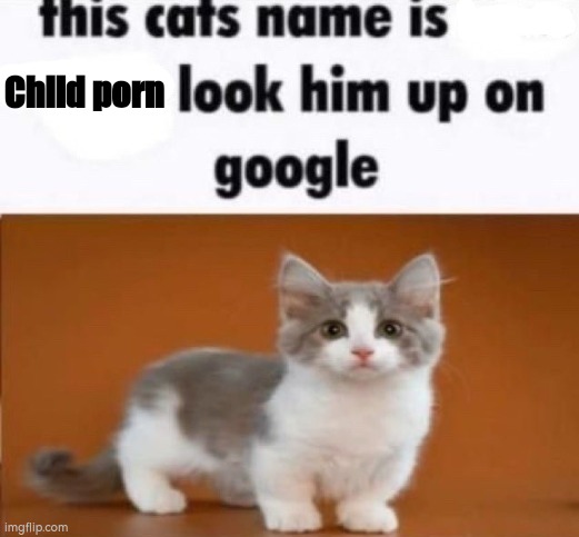 this cats name is x look him up on google | Child porn | image tagged in this cats name is x look him up on google | made w/ Imgflip meme maker