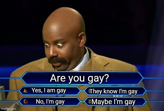 hh | Are you gay? Yes, I am gay; They know I'm gay; Maybe I'm gay; No, I'm gay | image tagged in who wants to be a millionaire | made w/ Imgflip meme maker