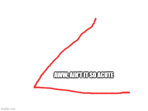 Angle | AWW, AIN'T IT SO ACUTE | image tagged in blank white template | made w/ Imgflip meme maker