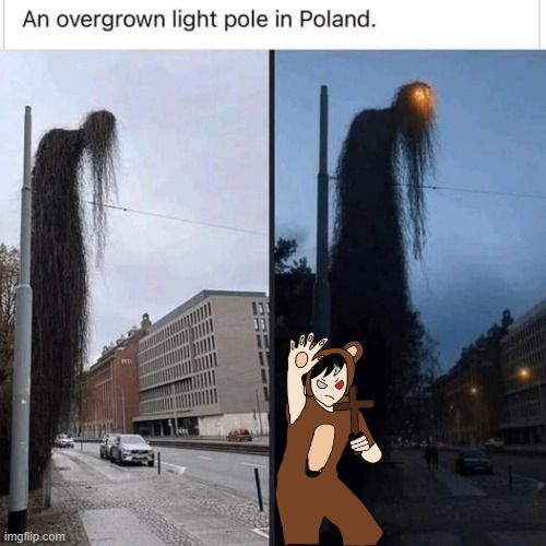 Cursed Pole | image tagged in unsee juice | made w/ Imgflip meme maker