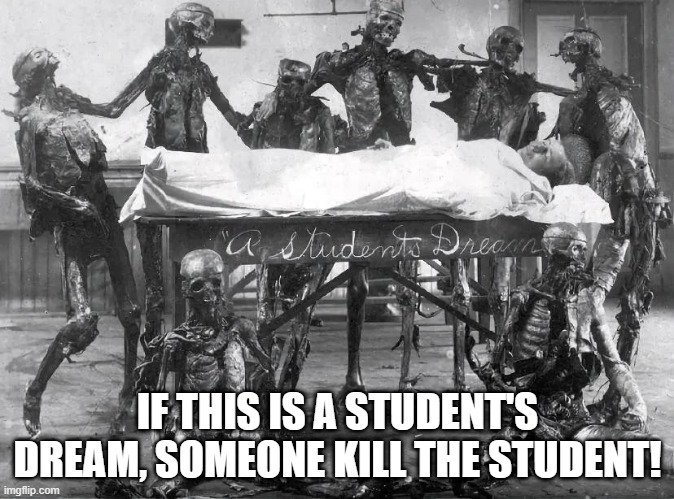 A Student's Dream | IF THIS IS A STUDENT'S DREAM, SOMEONE KILL THE STUDENT! | image tagged in unsee juice | made w/ Imgflip meme maker
