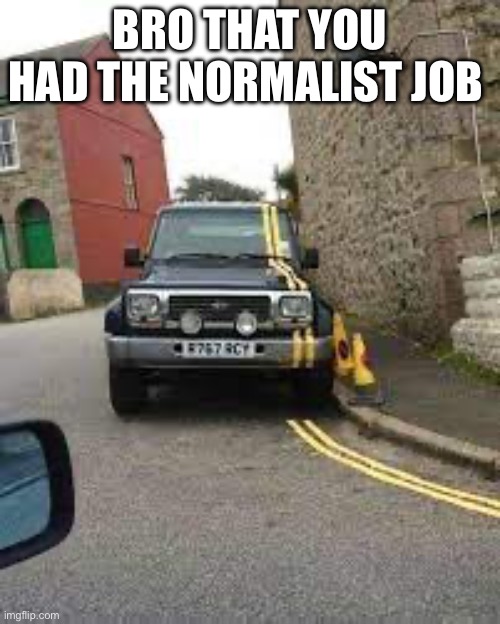 the one job you can't fail for sure | BRO THAT YOU HAD THE NORMALIST JOB | made w/ Imgflip meme maker