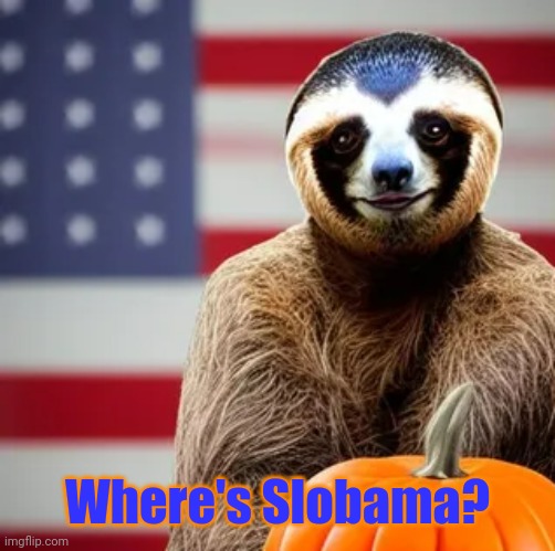 Where's Slobama been? | Where's Slobama? | image tagged in barack obama casting a vote as a costumed halloween sloth,where's slobama,3 weeks and counting,hope all is well,does anyone know | made w/ Imgflip meme maker