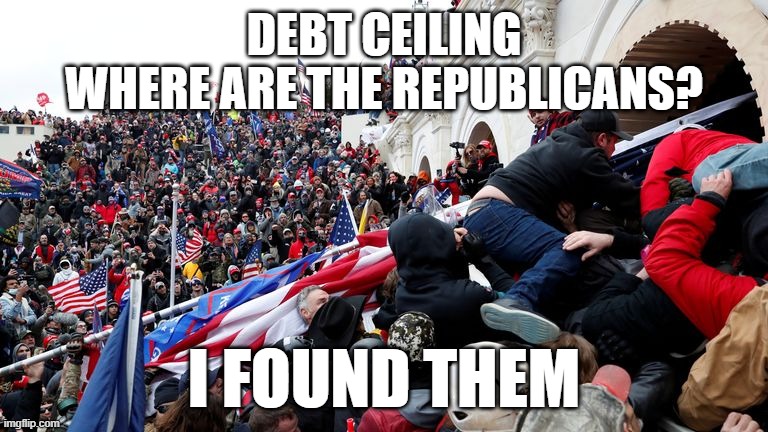Republican Debt Ceiling | DEBT CEILING
WHERE ARE THE REPUBLICANS? I FOUND THEM | image tagged in capitol terrorists,debt ceiling,insurectionist,terrorists,america | made w/ Imgflip meme maker