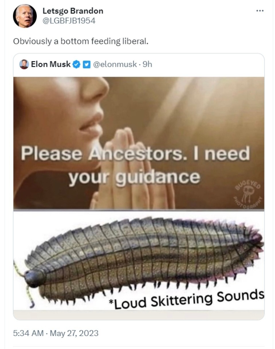 Letsgo Brandon Elon Musk Quote retweet | image tagged in letsgo brandon,let's go brandon,elon musk,twitter,tweet,lowlife | made w/ Imgflip meme maker