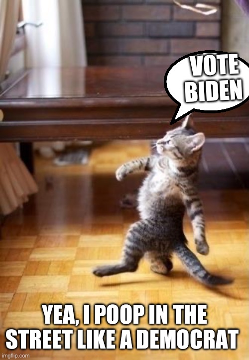 Vote Biden for a easy poop | VOTE BIDEN; YEA, I POOP IN THE STREET LIKE A DEMOCRAT | image tagged in memes,cool cat stroll | made w/ Imgflip meme maker