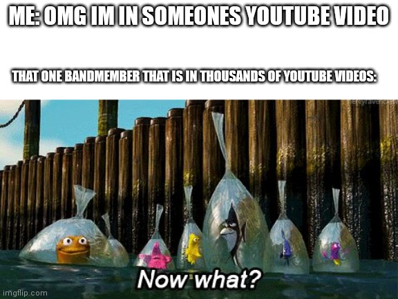 Now What? | ME: OMG IM IN SOMEONES YOUTUBE VIDEO; THAT ONE BANDMEMBER THAT IS IN THOUSANDS OF YOUTUBE VIDEOS: | image tagged in now what | made w/ Imgflip meme maker