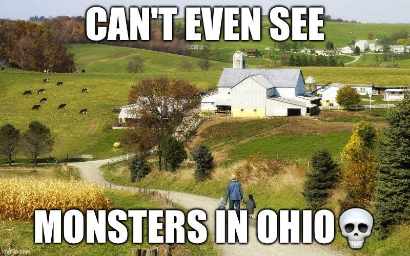 Can’t even see monsters in Ohio? | CAN'T EVEN SEE; MONSTERS IN OHIO💀 | image tagged in only in ohio,ohio,ohio state | made w/ Imgflip meme maker