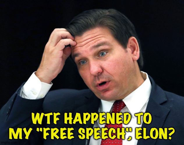 Ron DeSantis searching for his brain | WTF HAPPENED TO MY "FREE SPEECH", ELON? | image tagged in ron desantis searching for his brain | made w/ Imgflip meme maker