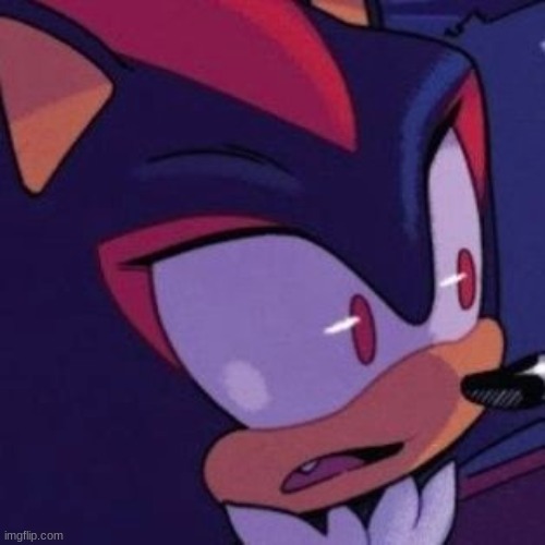 shadow flabbergasted | image tagged in shadow flabbergasted | made w/ Imgflip meme maker