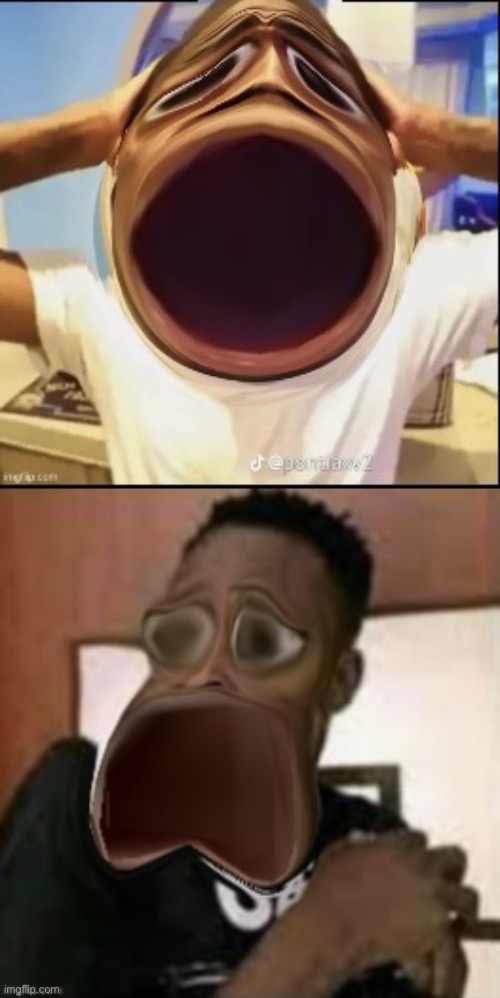 image tagged in really shocked black guy,really scared black guy | made w/ Imgflip meme maker
