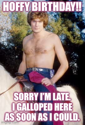 Hoffhorse | HOFFY BIRTHDAY!! SORRY I’M LATE. I GALLOPED HERE AS SOON AS I COULD. | image tagged in hoffhorse | made w/ Imgflip meme maker
