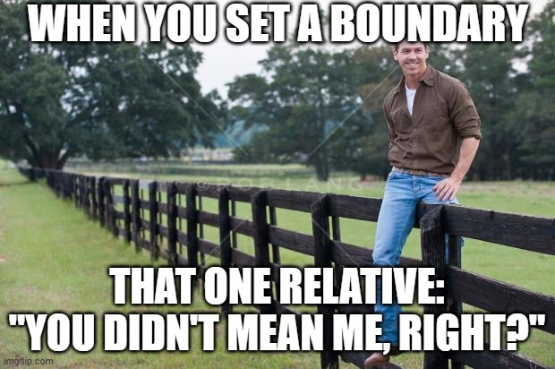 Boundary fail | WHEN YOU SET A BOUNDARY; THAT ONE RELATIVE: "YOU DIDN'T MEAN ME, RIGHT?" | image tagged in man on fence | made w/ Imgflip meme maker