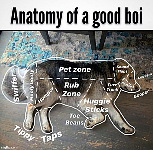 Only a few will understand | image tagged in memes,middle school,dogs | made w/ Imgflip meme maker