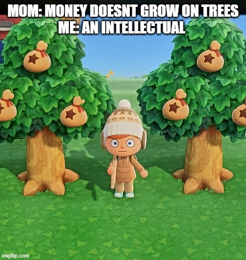funny | MOM: MONEY DOESNT GROW ON TREES
ME: AN INTELLECTUAL | image tagged in animal crossing,muni | made w/ Imgflip meme maker