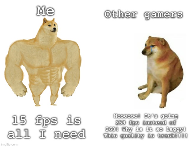 Buff Doge vs. Cheems | Other gamers; Me; Noooooo! It’s going 259 fps instead of 260! Why is it so laggy! This quality is trash!!!! 15 fps is all I need | image tagged in memes,buff doge vs cheems | made w/ Imgflip meme maker