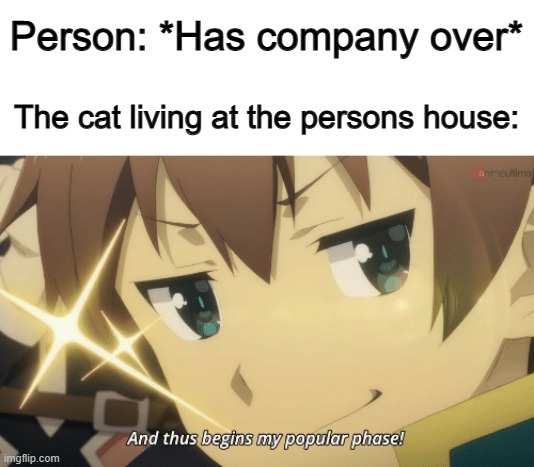 Especially for kids, they'll give a lot of attention for cats ^-^ | Person: *Has company over*; The cat living at the persons house: | image tagged in and thus begins my popular phase | made w/ Imgflip meme maker