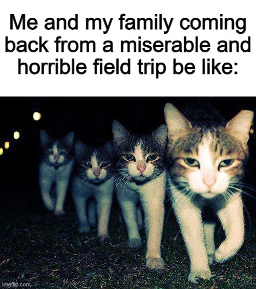 Hopefully you guys don't run into miserable field trips often/at all... | Me and my family coming back from a miserable and horrible field trip be like: | image tagged in memes,wrong neighboorhood cats | made w/ Imgflip meme maker