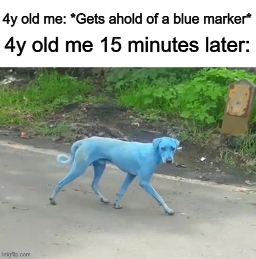 Accurate, at least for me XD | 4y old me 15 minutes later:; 4y old me: *Gets ahold of a blue marker* | image tagged in i didn't see anything | made w/ Imgflip meme maker