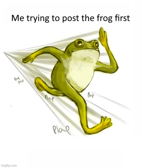 Image Tagged In Frogs Memes Funny Imgflip