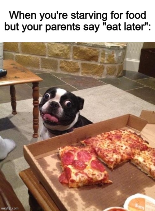True tho U-U | When you're starving for food but your parents say "eat later": | image tagged in hungry pizza dog | made w/ Imgflip meme maker