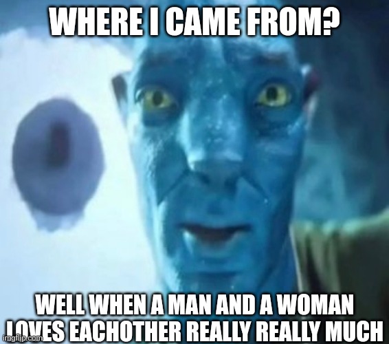 Avatar guy | WHERE I CAME FROM? WELL WHEN A MAN AND A WOMAN LOVES EACHOTHER REALLY REALLY MUCH | image tagged in avatar guy | made w/ Imgflip meme maker