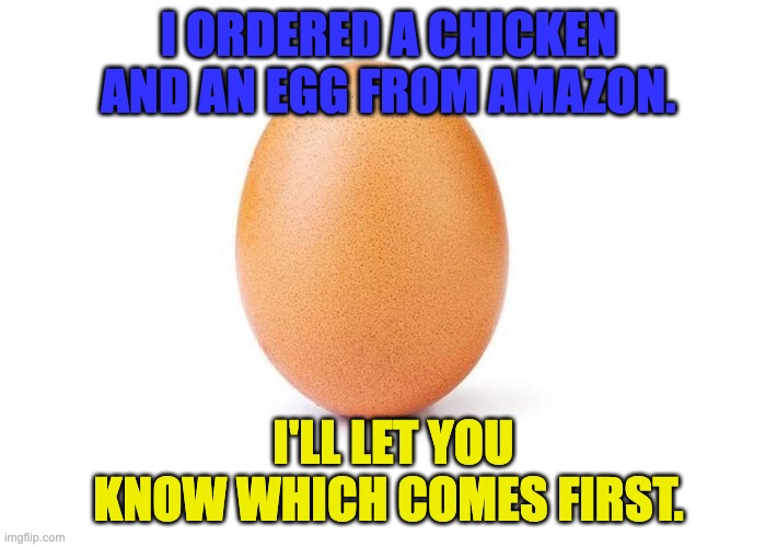 Eggbert | I ORDERED A CHICKEN AND AN EGG FROM AMAZON. I'LL LET YOU KNOW WHICH COMES FIRST. | image tagged in eggbert,bad pun | made w/ Imgflip meme maker